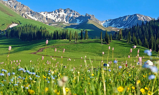 5 月新疆跟团游好还是自由行好?真实对比